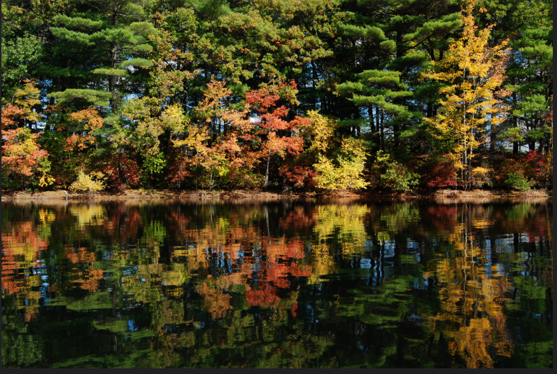 A Hidden Treasure FRIENDS OF WILLETT POND