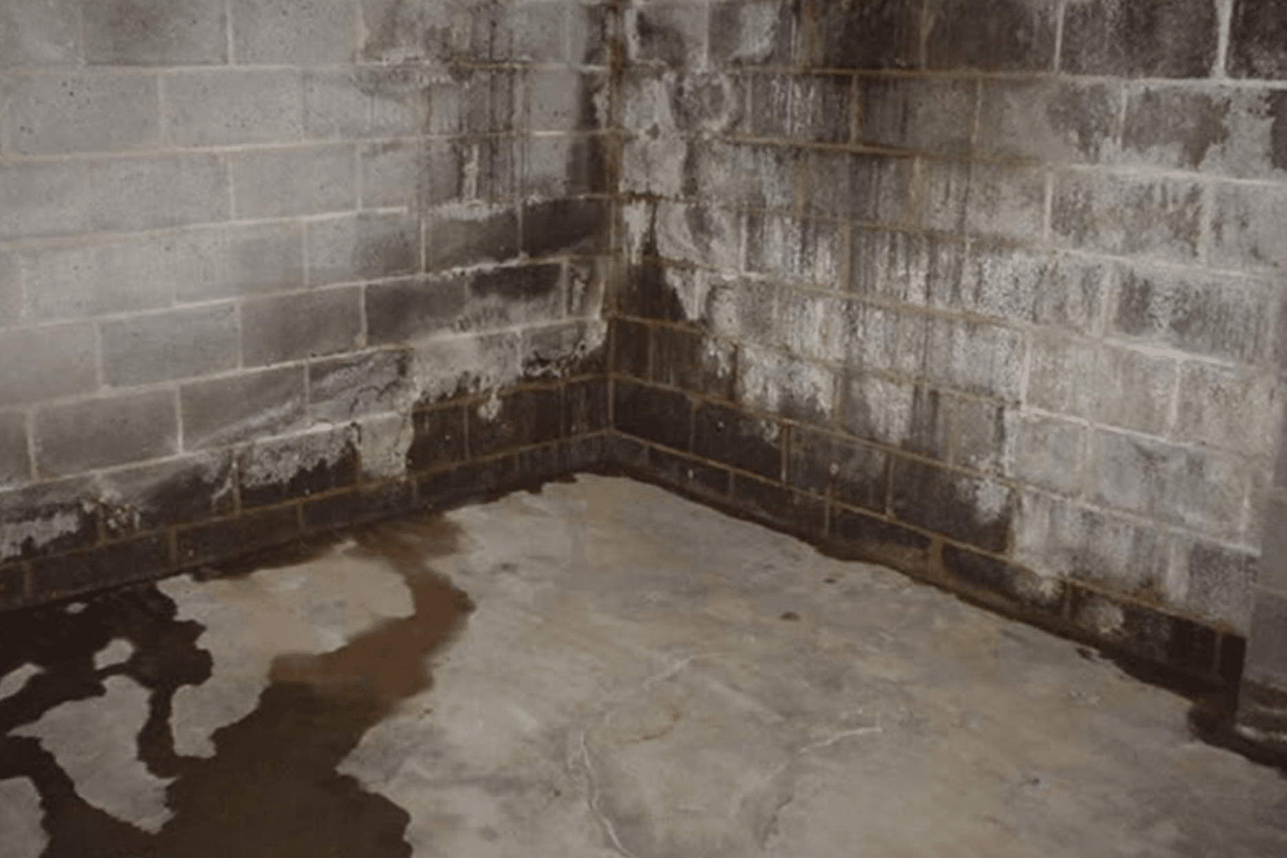 Basement Waterproofing in Nobleton WillFix Basement Waterproofing
