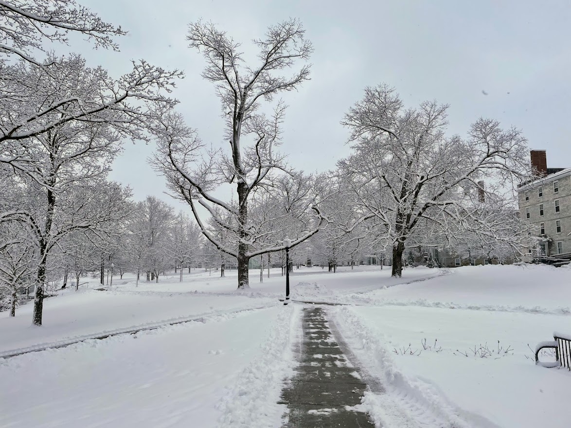 William Pyle's research and teaching