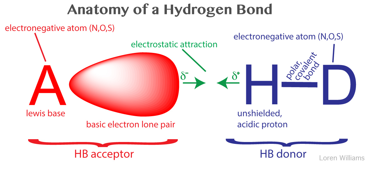Molecular Interactions (Noncovalent Interactions)