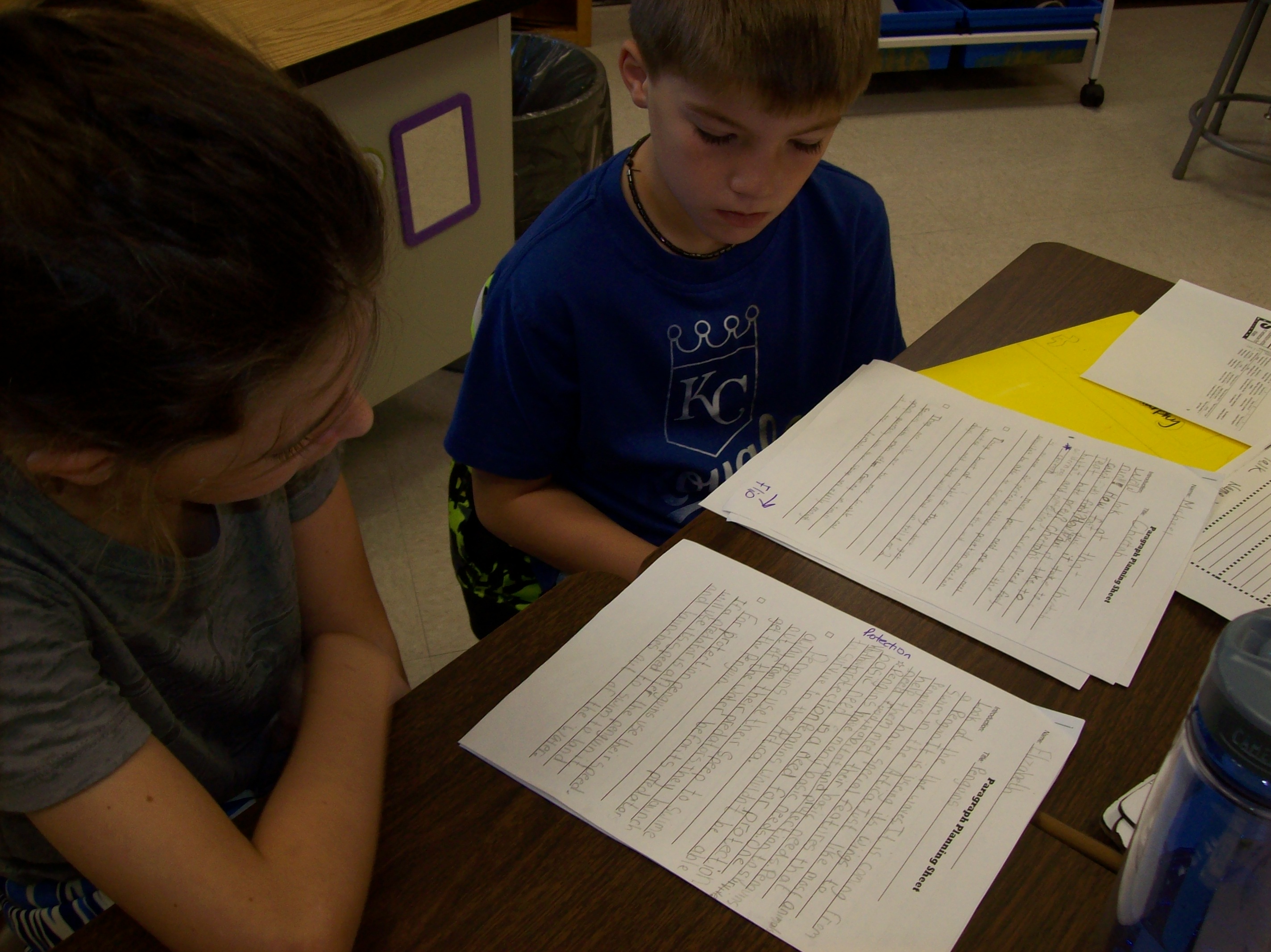 Animal Reports come to a Conclusion Mrs. Williams' Blog