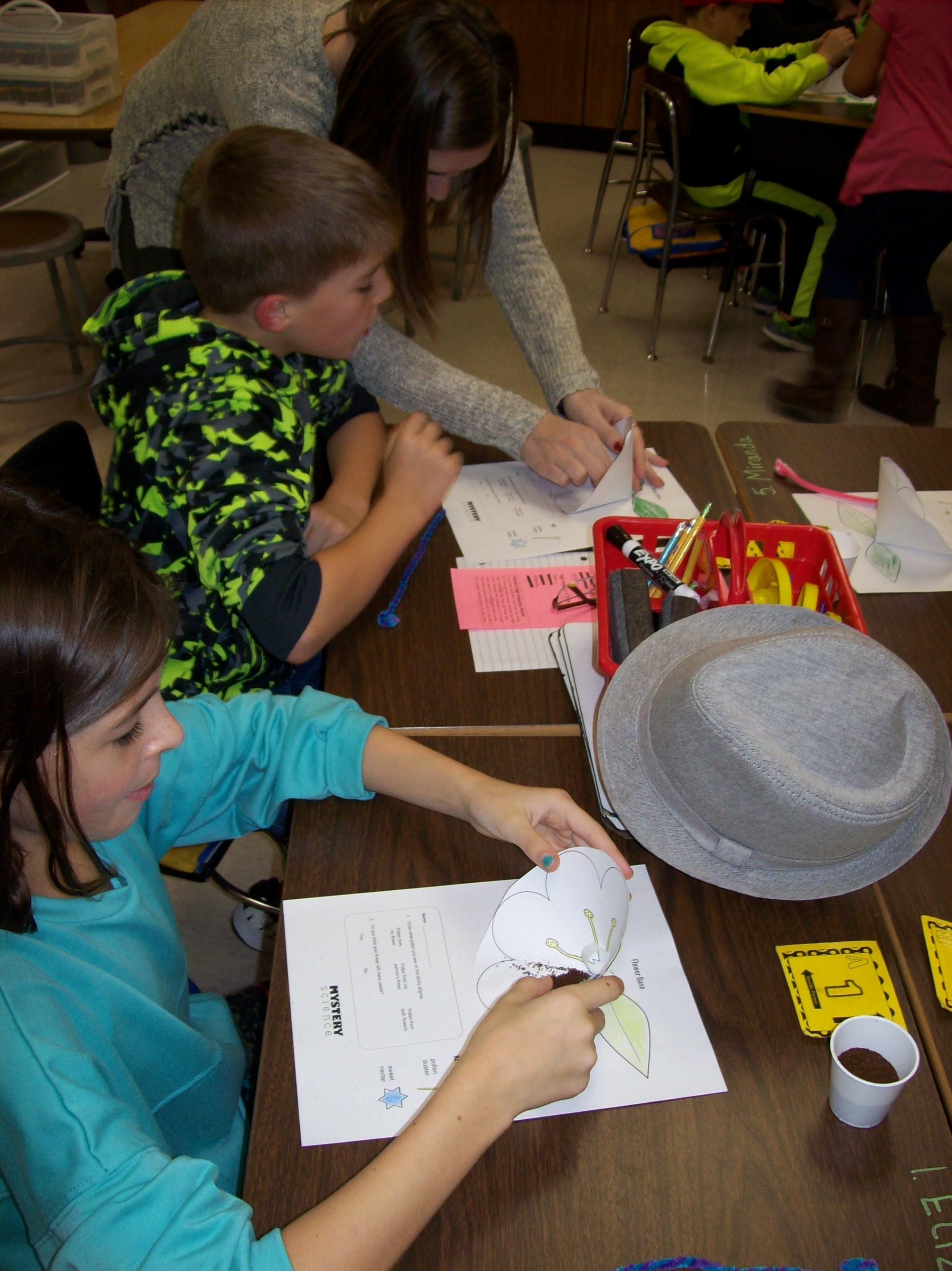 Mystery Science Why do plants grow flowers? Mrs. Williams' Blog