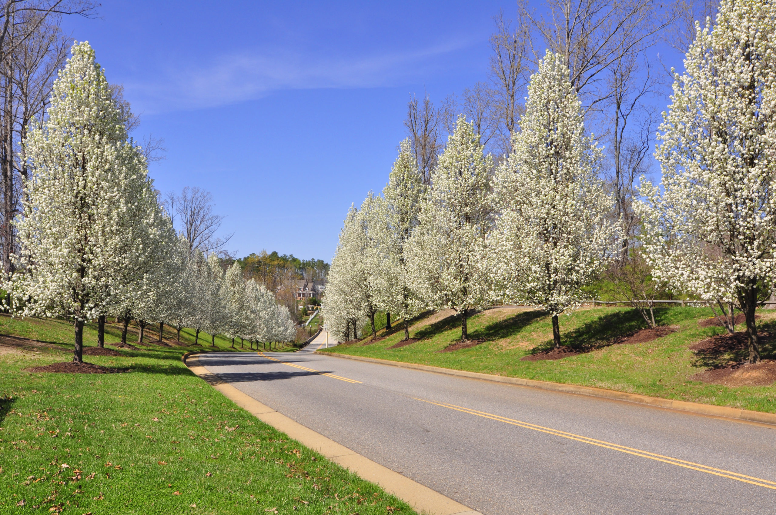 Home Williamsburg Realty of Virginia This is Where Home Begins