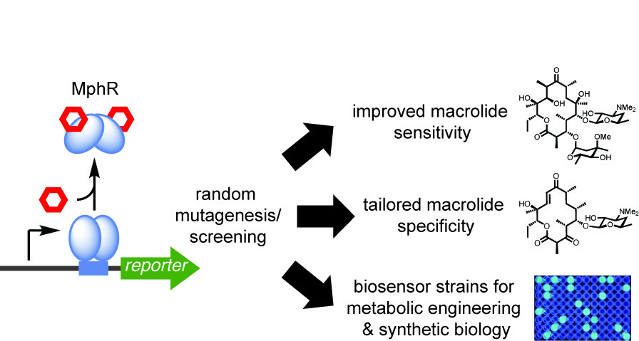 Publications Williams Lab NC State