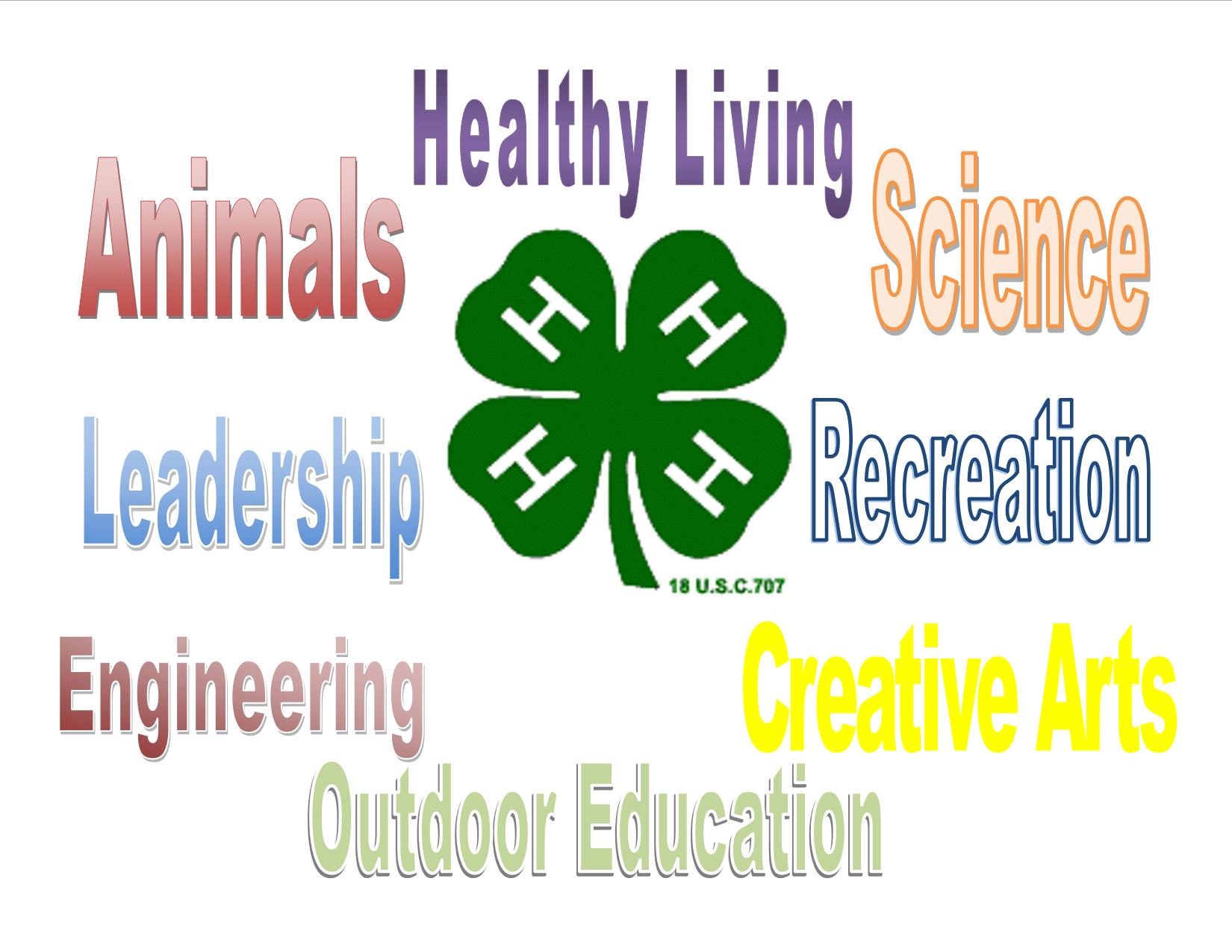 4H Projects Williamson