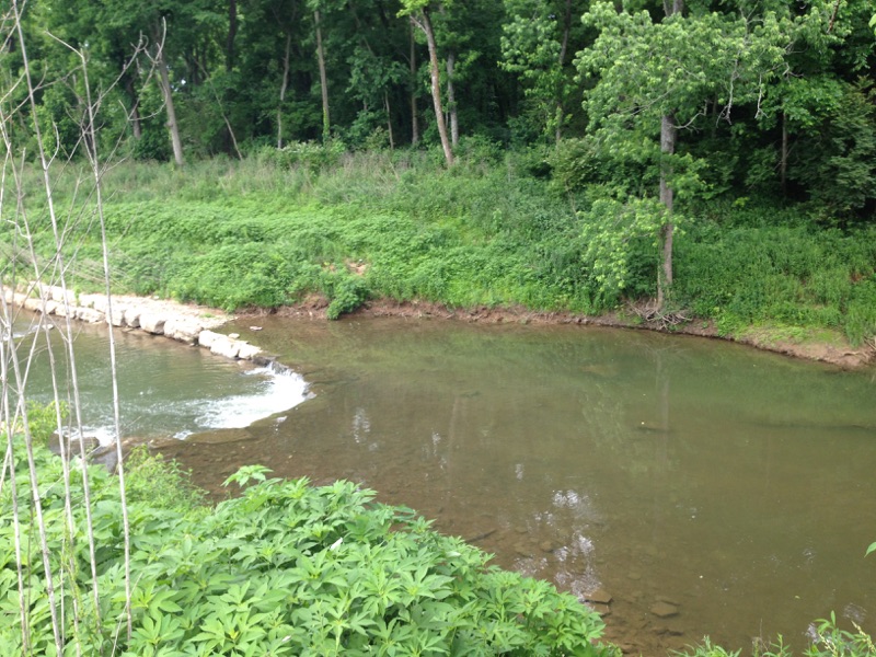 Harpeth River Put on Endangered Rivers List