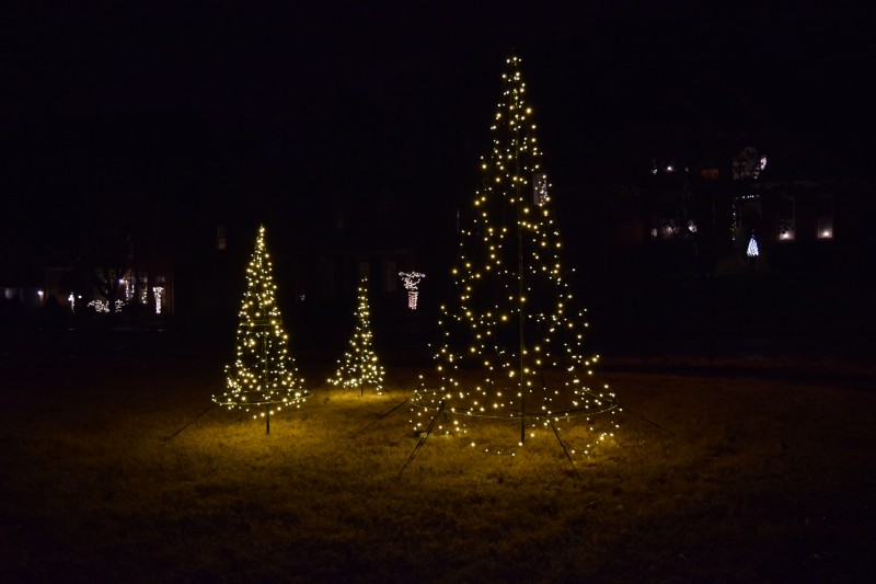 Scene Around Town Holiday Lights in Polk Place Williamson Source