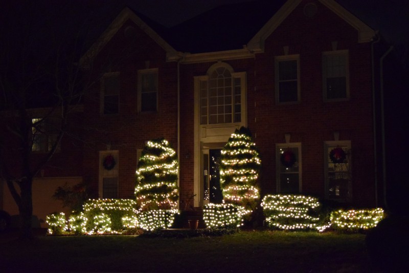 Scene Around Town Holiday Lights in Polk Place Williamson Source
