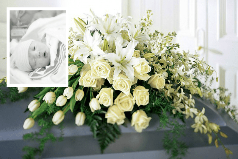 OBITUARY Easton Lane Williamson Source