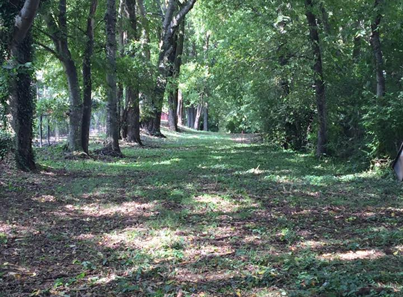 Granny White's Story Now Told in Brentwood Park Williamson Source