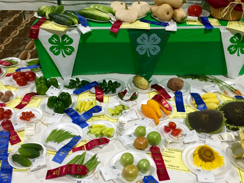 Williamson County Fair Entries for Competitive Events Now Open Online