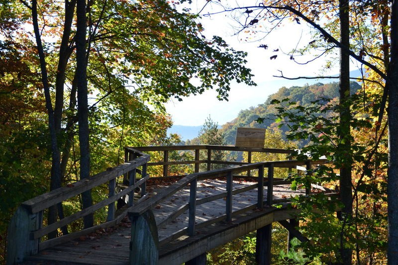 5 Tennessee State Parks You Should Visit Williamson Source