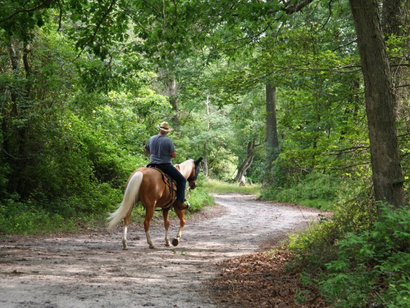 7 Horse Trails in Middle Tennessee Williamson Source