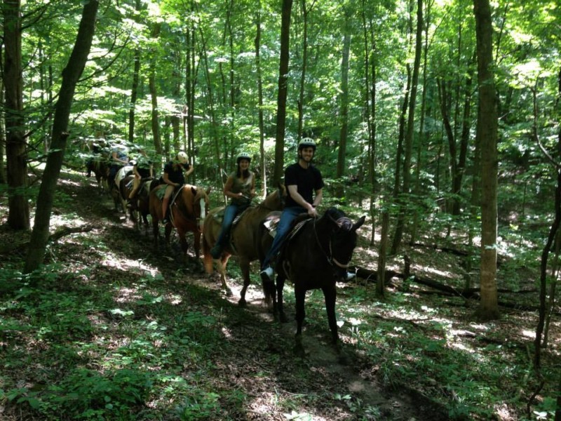 5 Trips for Horse Lovers Williamson Source