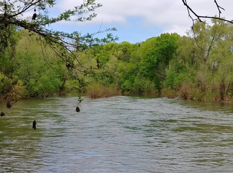 Doing Your Part to Protect the Harpeth River Williamson Source