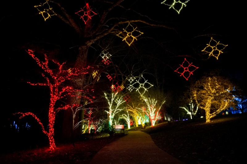 Where to See Christmas Lights in and Around Williamson County