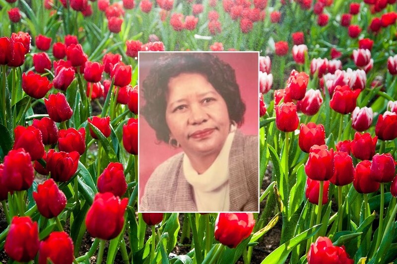 OBITUARY Myrtle Heidelberg Williamson Source