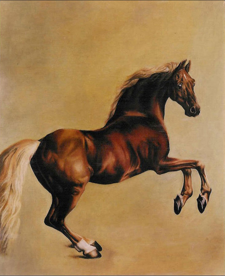 Whistlejacket WilliamStudios