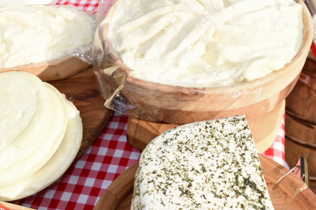 Can You Compost Cheese? Will It Compost
