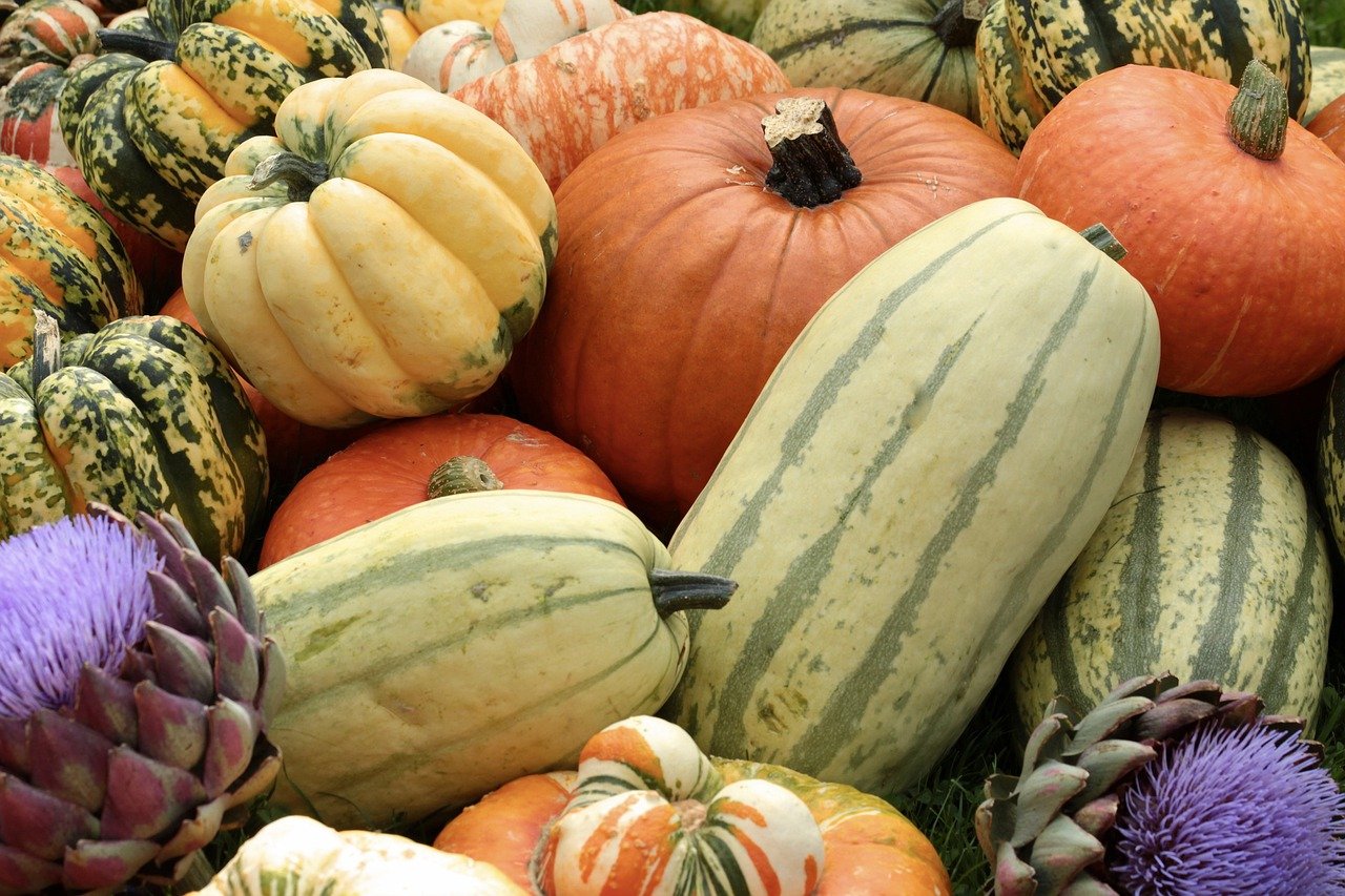 Can You Compost Pumpkins (& Pumpkin Seeds)? Will It Compost