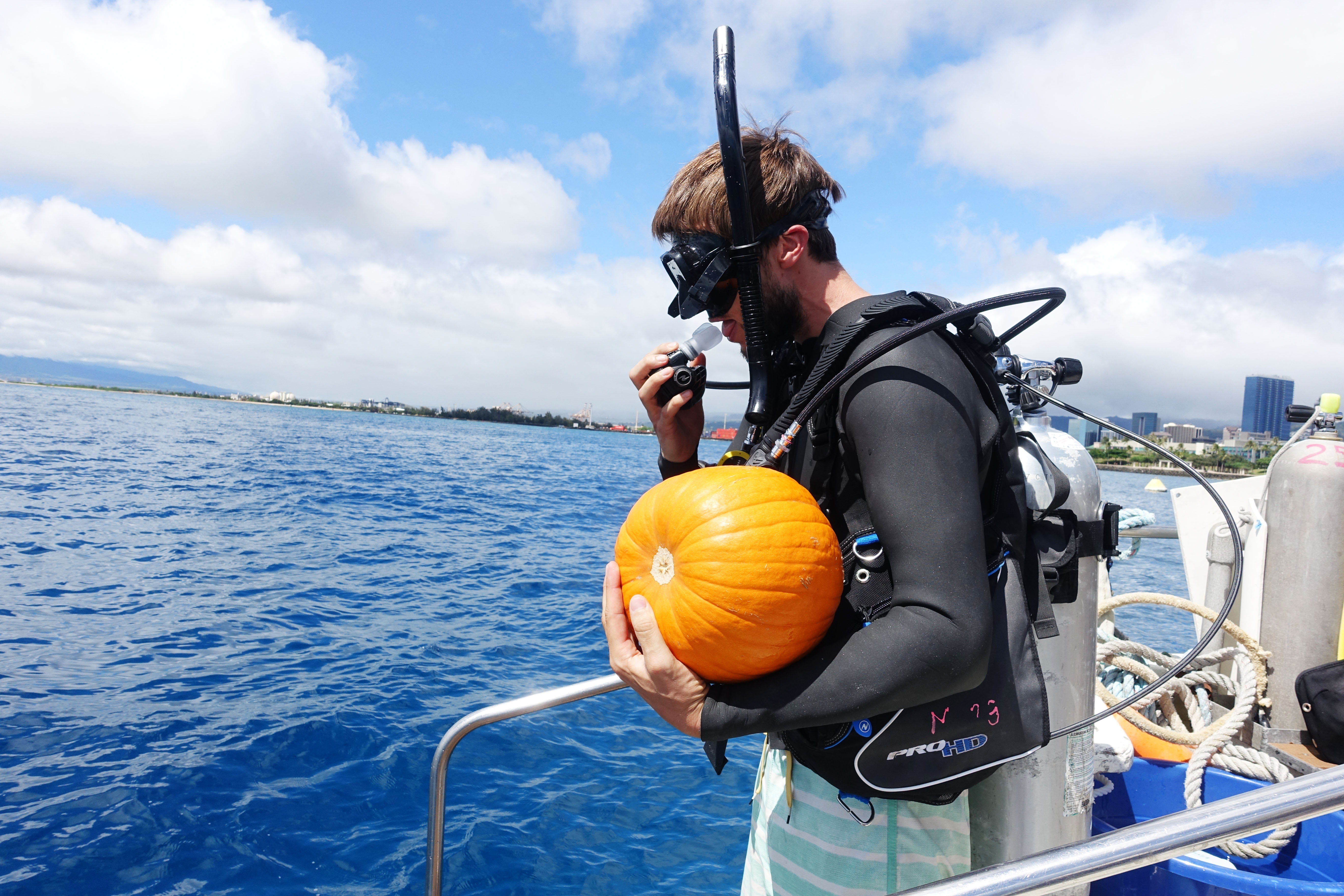 The Best Way to Celebrate Halloween in Hawaii Wake and Wander
