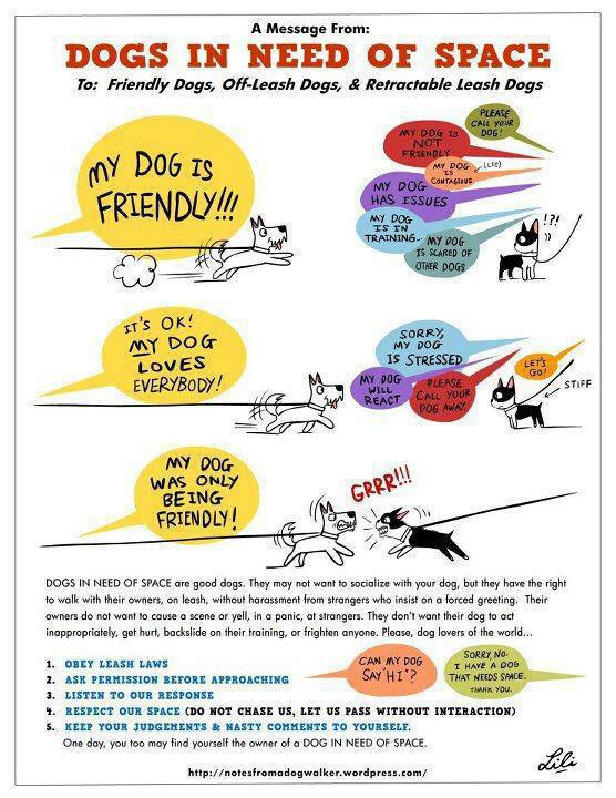 Dogs in Need of Space Will My Dog Hate Me?