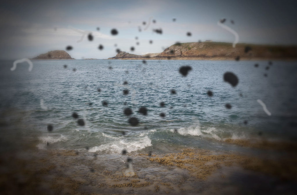 Flashes & Floaters Langley Willoughby Doctors Optometry