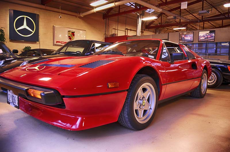 Willow Photo Gallery