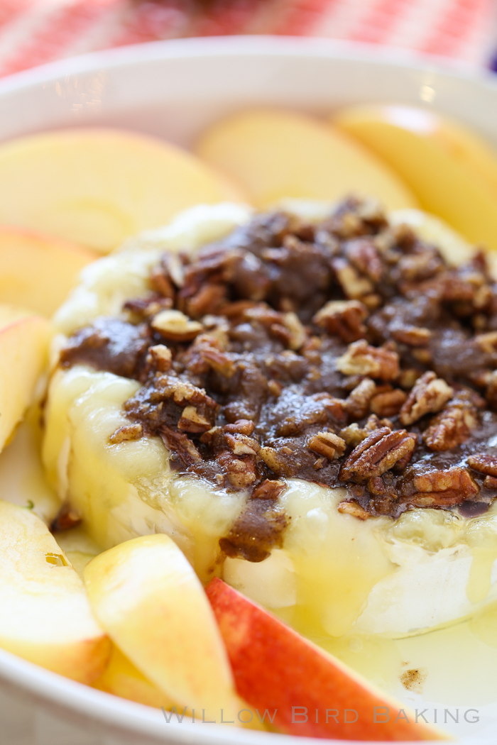 Maple Brown Sugar Brie Willow Bird Baking