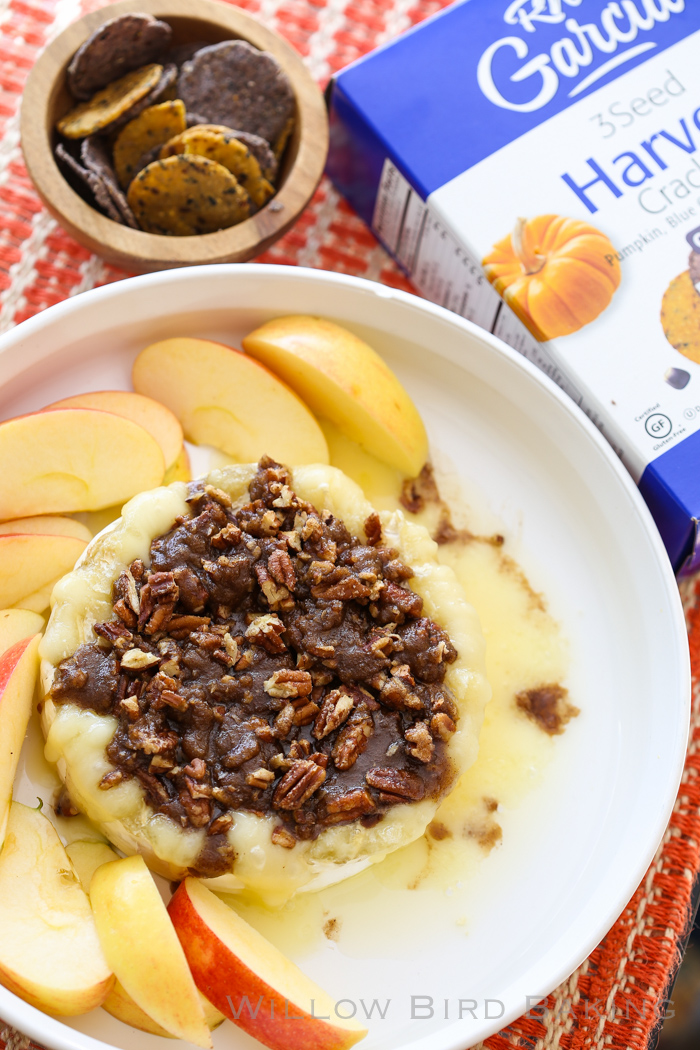 Maple Brown Sugar Brie Willow Bird Baking