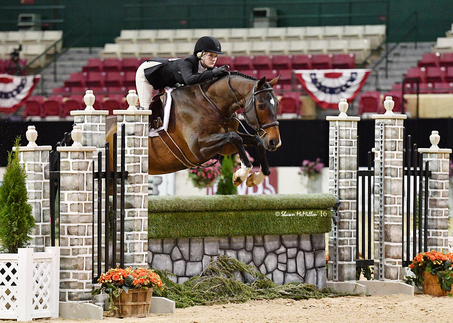 Gallery Willow Brook Stables