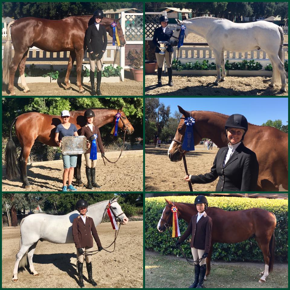 Flintridge Annual Horse Show Willow Brook Stables