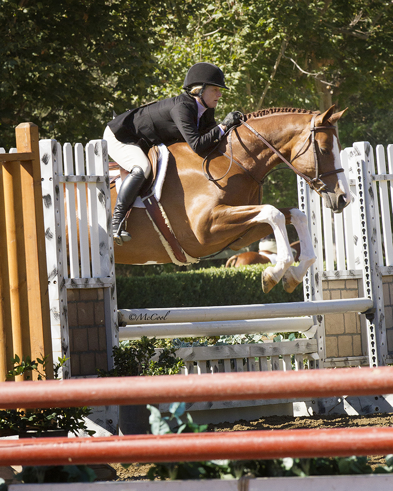 Gallery Willow Brook Stables