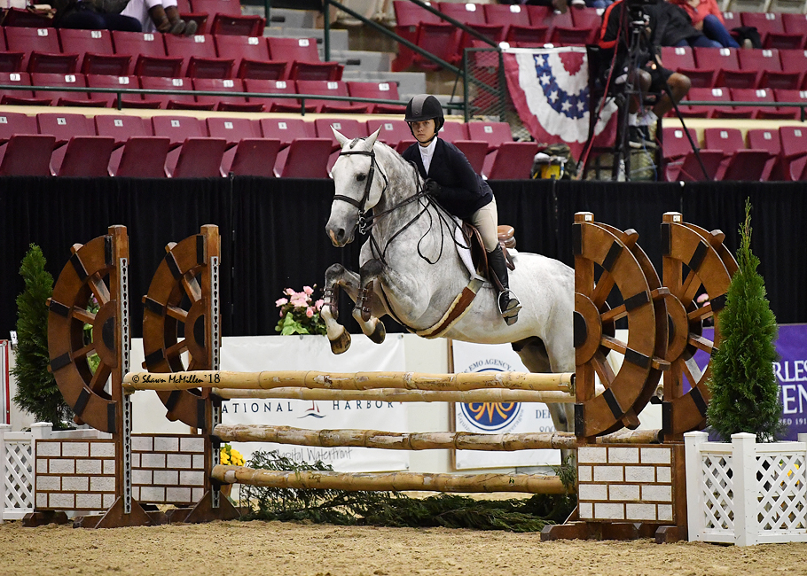 Gallery Willow Brook Stables
