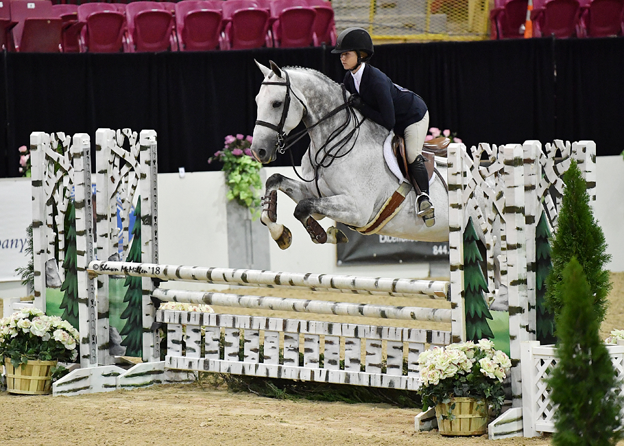 Gallery Willow Brook Stables