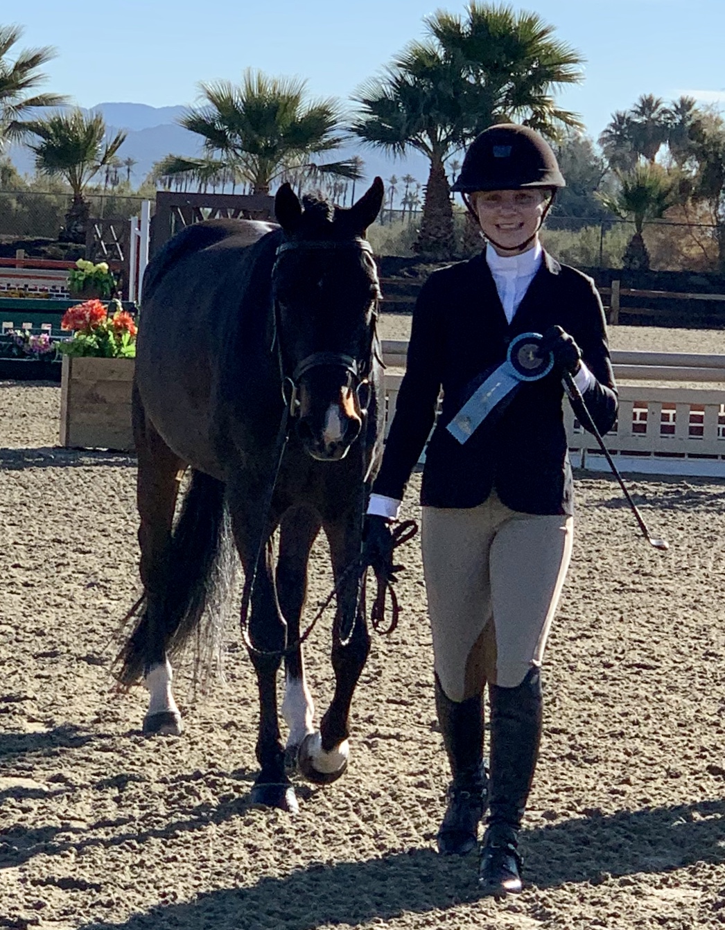 Gallery Willow Brook Stables