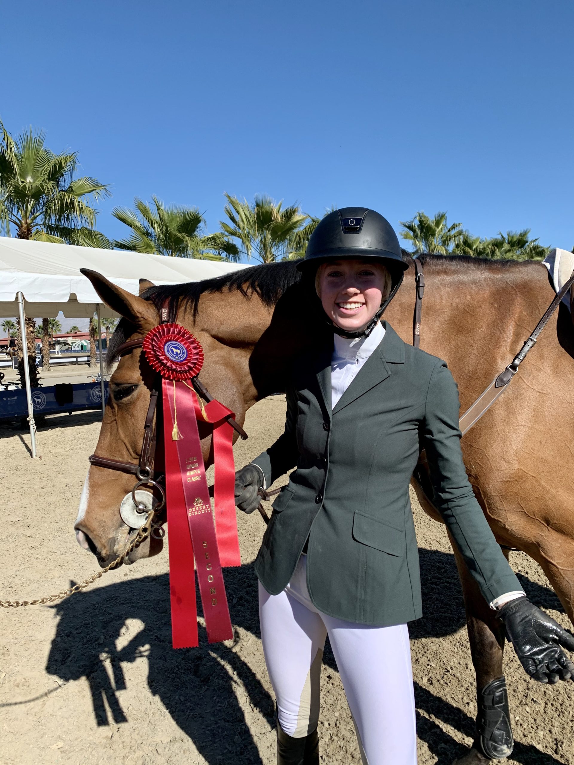 Gallery Willow Brook Stables