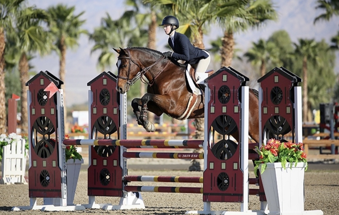 Gallery Willow Brook Stables