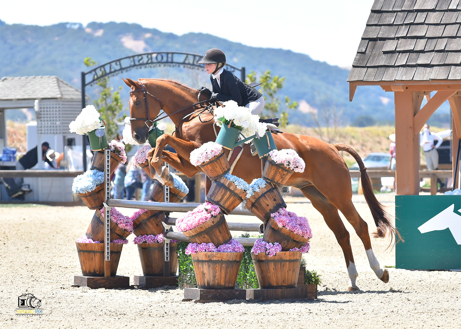 Gallery Willow Brook Stables