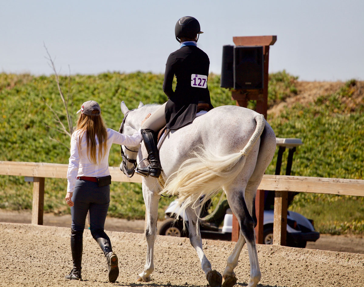 Gallery Willow Brook Stables