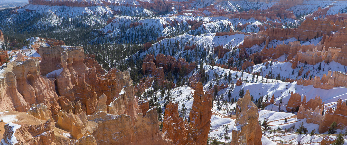 suu fall semester 2023 Willow Brook Willow Brook