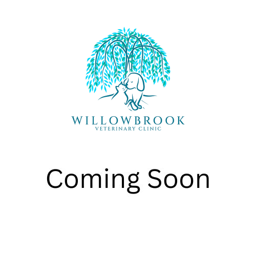 Veterinarian In Bellefonte, PA Willowbrook Vet Clinic