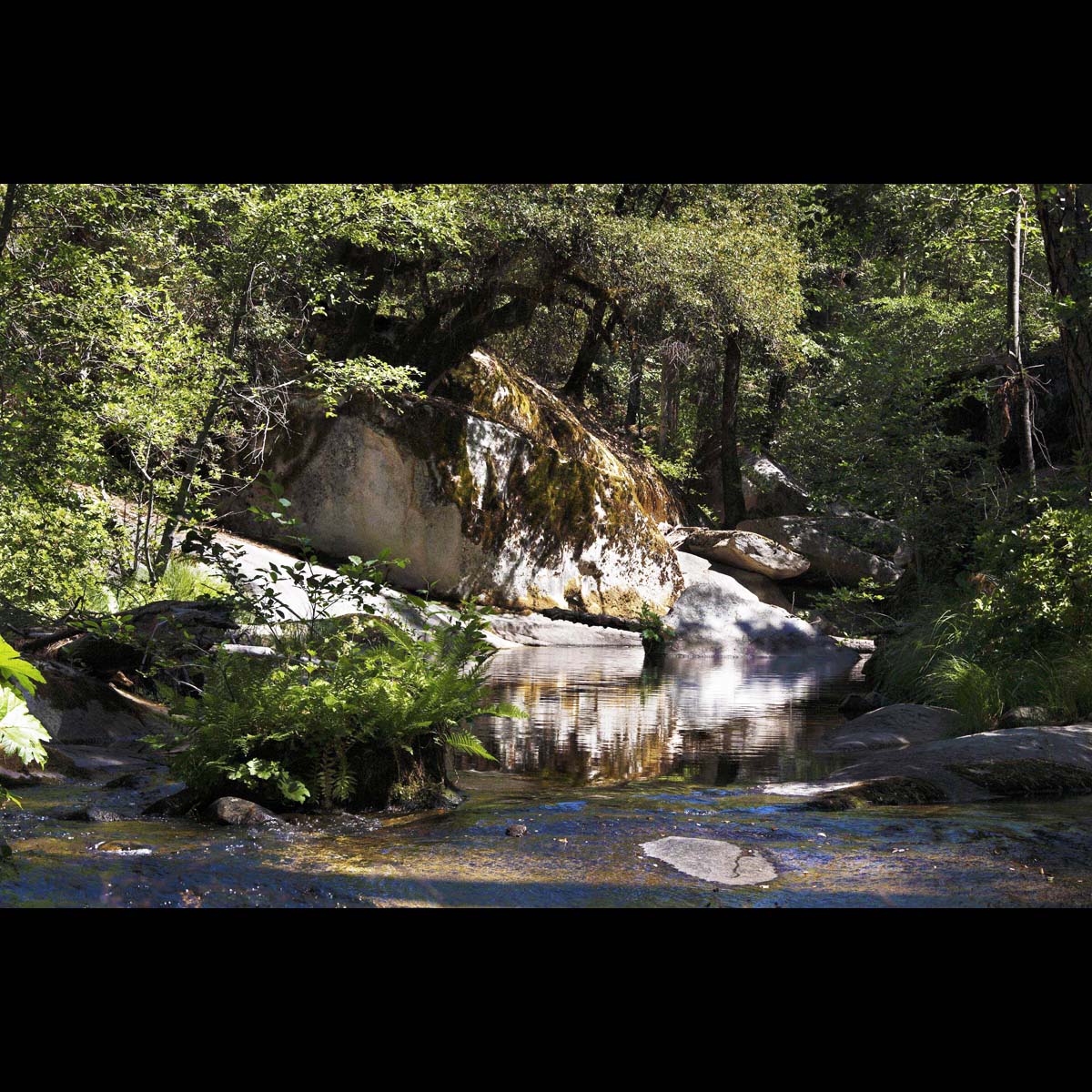 gallery 2 willow creek