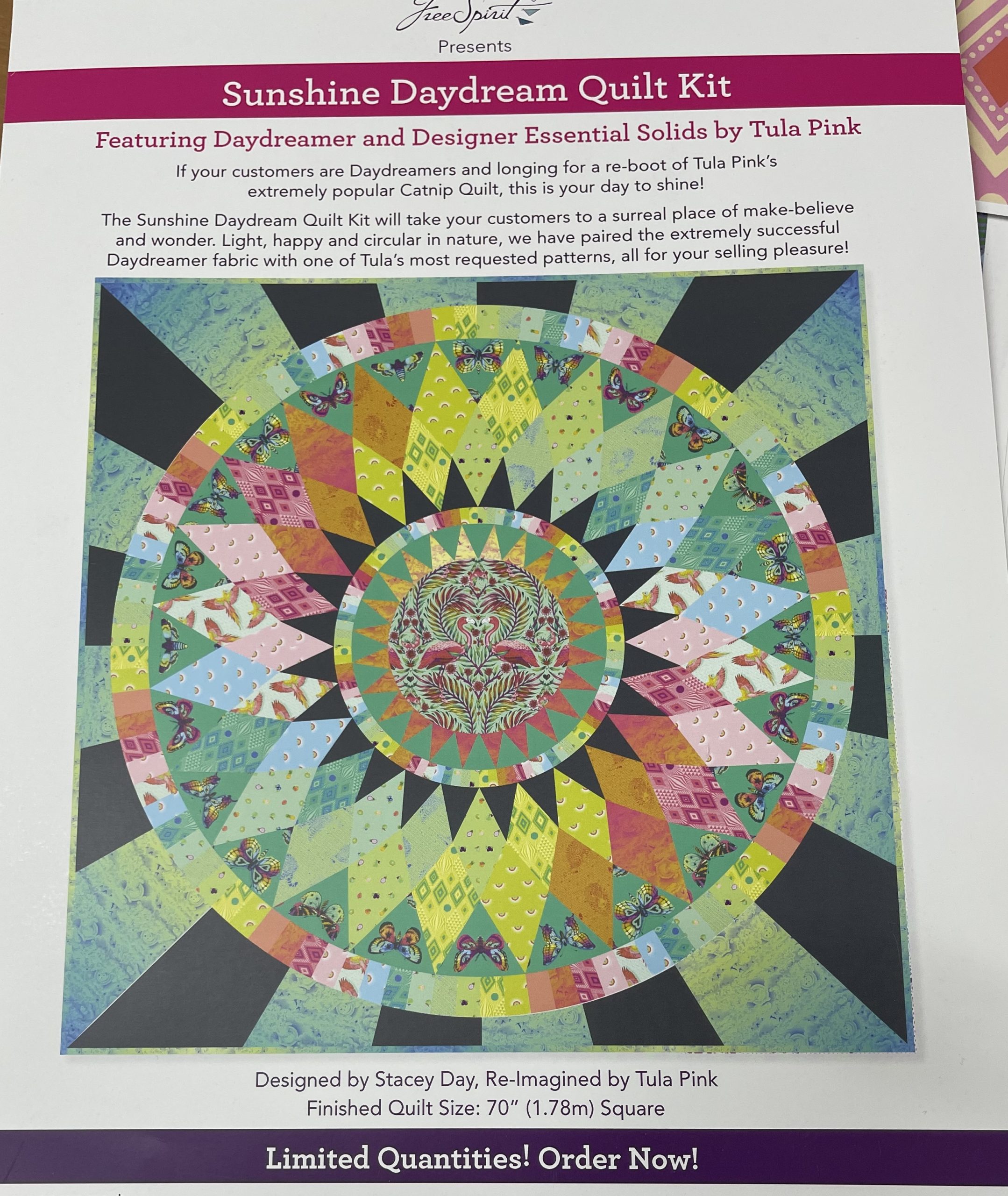 Tula Pink Sunshine dreamer quilt kit Willow Grove Quilting