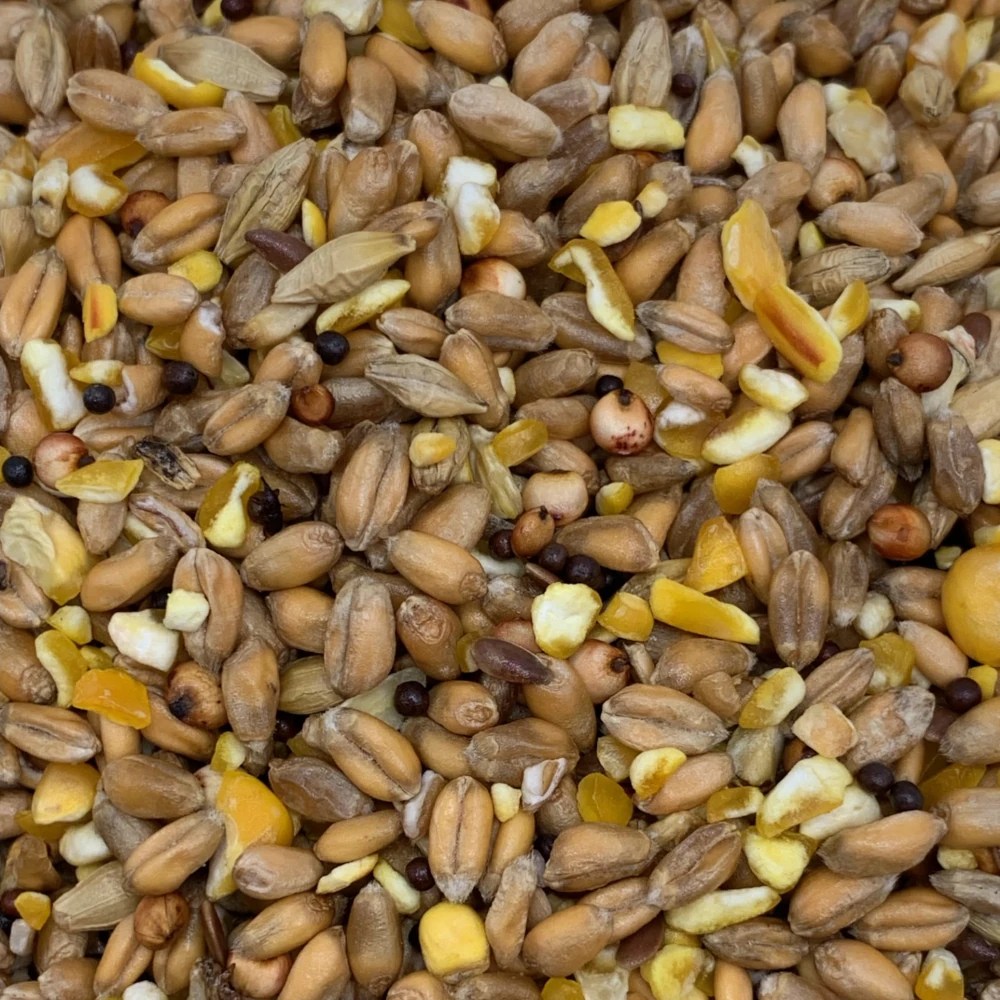 Buy Dove Food & Dove Seed Mix 20kg Nutritious Seed for Doves