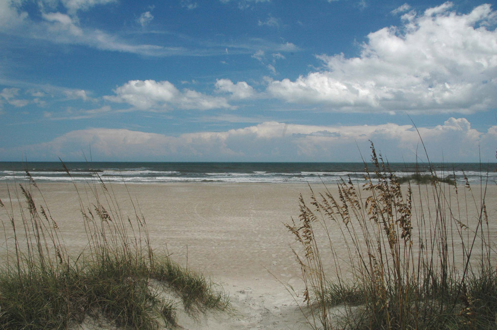 Beach Willow Pond Apartments and Townhomes