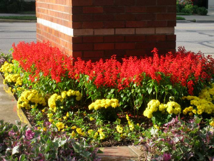 Lawrence, KS Landscape Design Annuals and Perennials Planting Flowers