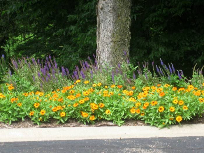 Lawrence, KS Landscape Design Annuals and Perennials Planting Flowers