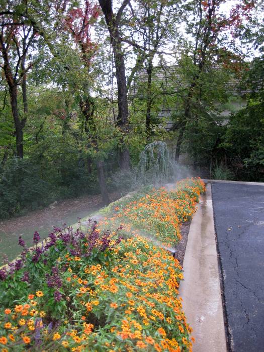 Lawrence, KS Landscape Design Annuals and Perennials Planting Flowers