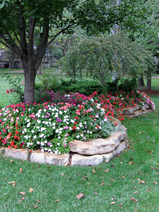 Lawrence, KS Landscape Design Annuals and Perennials Planting Flowers